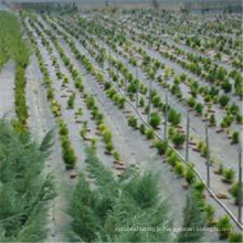 Tissu de type aménagement paysager et de revêtement et matériel de contrôle des mauvaises herbes